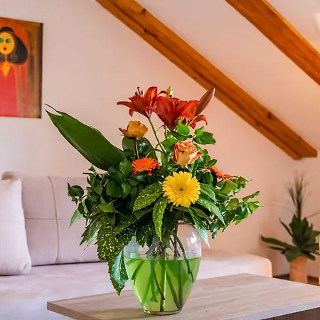 Appartamento & Mara & Petrunjela - One Bedroom With Balcony And Sea View