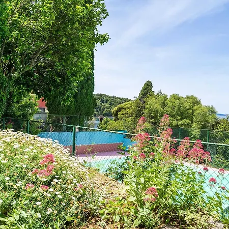 Apartment & Mara & Petrunjela - One Bedroom With Balcony And Sea View Cavtat